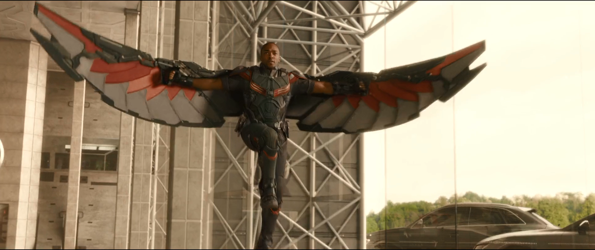 falcon_new_wings